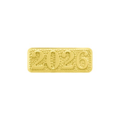 2026 Chenille Letter Pin
