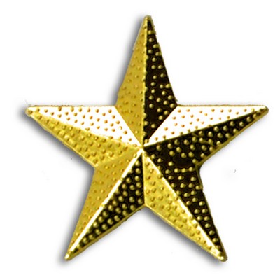 Star Chenille Letter Pin